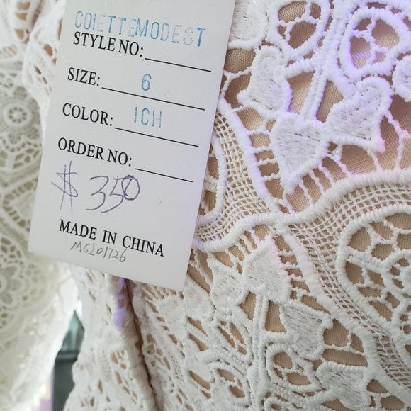 NWT Wedding lace nude dress Sz 6 - Picture 9 of 11